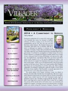 Winter 2014 villager